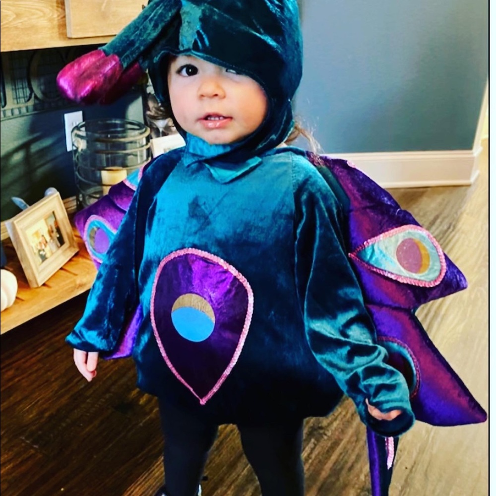 Baby peacock costume